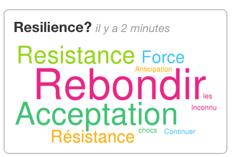 Business Resilience Experience